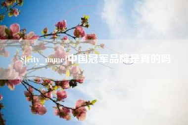 揭阳中国冠军品牌是真的吗