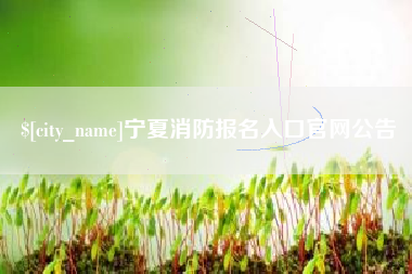 揭阳宁夏消防报名入口官网公告