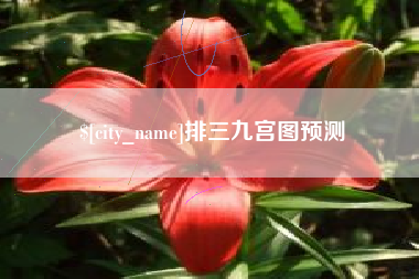 揭阳排三九宫图预测