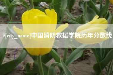 揭阳中国消防救援学院历年分数线
