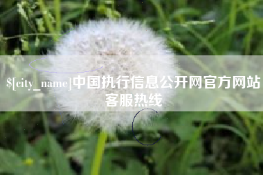 揭阳中国执行信息公开网官方网站客服热线