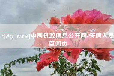揭阳中国执政信息公开网-失信人员查询页