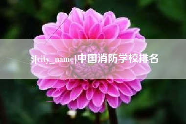 揭阳中国消防学校排名