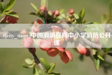 揭阳中国消防官网中小学消防公开课