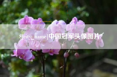 揭阳中国冠军头像图片