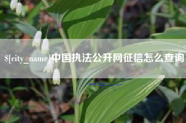 揭阳中国执法公开网征信怎么查询