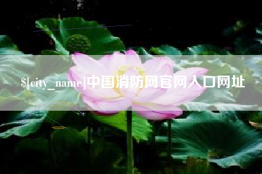 揭阳中国消防网官网入口网址