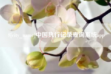 揭阳中国执行记录查询系统app
