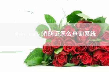 揭阳消防证怎么查询系统