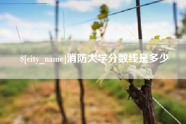 揭阳消防大学分数线是多少