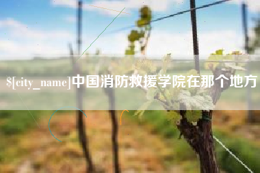 揭阳中国消防救援学院在那个地方