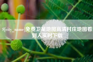 揭阳免费卫星地图高清村庄地图看到人实时下载