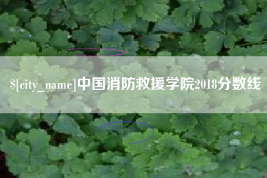 揭阳中国消防救援学院2018分数线