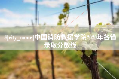揭阳中国消防救援学院2020年各省录取分数线