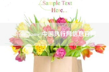 揭阳中国执行网信息官网