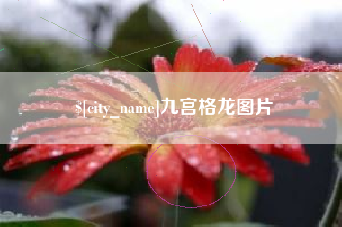 揭阳九宫格龙图片