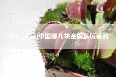 揭阳中国哪九块金牌最厉害的