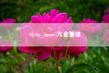 揭阳九金是谁