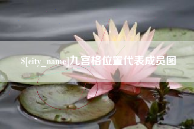 揭阳九宫格位置代表成员图