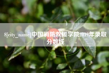 揭阳中国消防救援学院2019年录取分数线