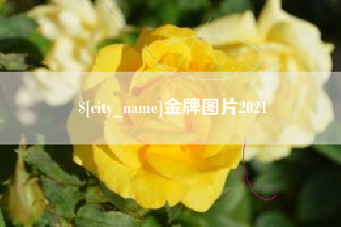 揭阳金牌图片2021