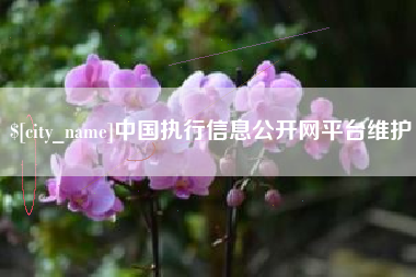 揭阳中国执行信息公开网平台维护