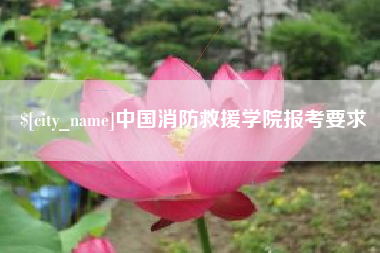 揭阳中国消防救援学院报考要求