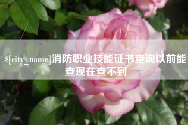 揭阳消防职业技能证书查询以前能查现在查不到