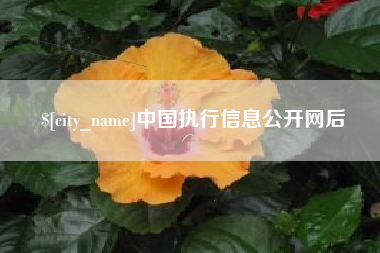 揭阳中国执行信息公开网后