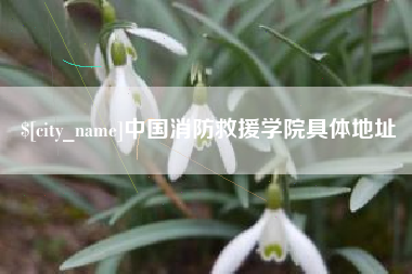 揭阳中国消防救援学院具体地址