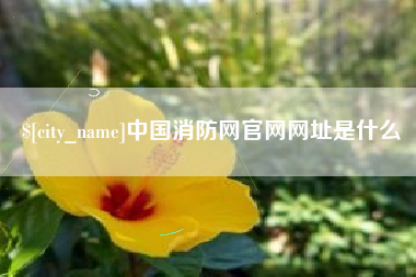 揭阳中国消防网官网网址是什么