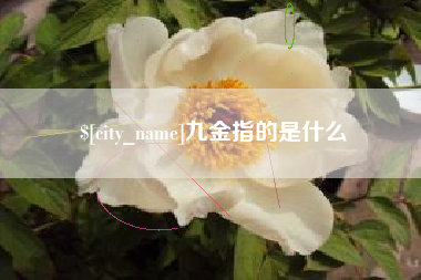 揭阳九金指的是什么