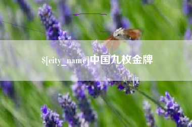 揭阳中国九枚金牌