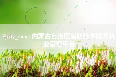 揭阳内蒙古自治区消防技术服务执业管理平台