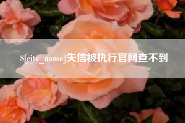 揭阳失信被执行官网查不到