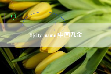 揭阳中国九金