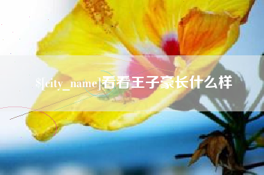 揭阳看看王子豪长什么样