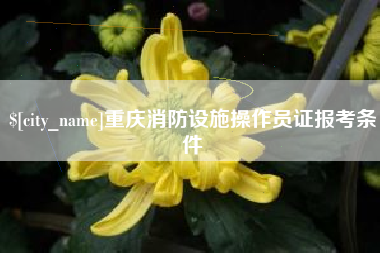 揭阳重庆消防设施操作员证报考条件