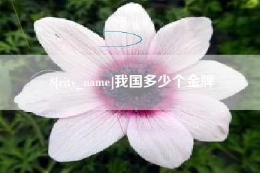 揭阳我国多少个金牌