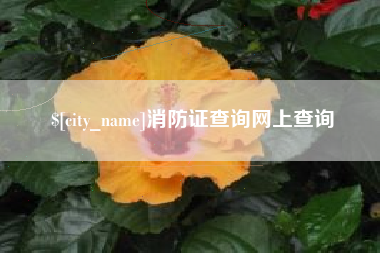 揭阳消防证查询网上查询