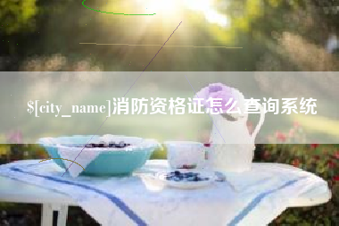 揭阳消防资格证怎么查询系统