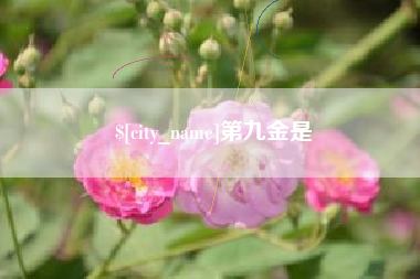 揭阳第九金是