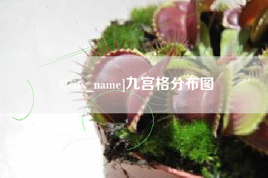 揭阳九宫格分布图