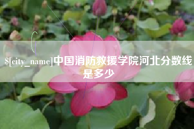 揭阳中国消防救援学院河北分数线是多少