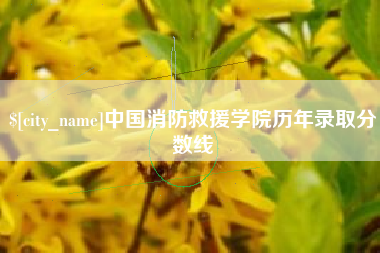 揭阳中国消防救援学院历年录取分数线