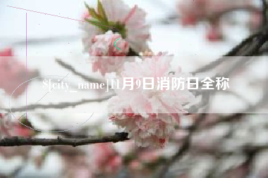 揭阳11月9日消防日全称