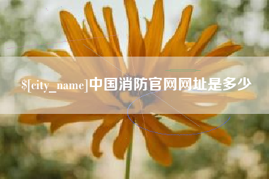 揭阳中国消防官网网址是多少