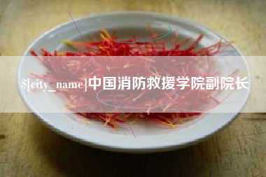 揭阳中国消防救援学院副院长