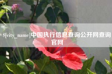 揭阳中国执行信息查询公开网查询官网
