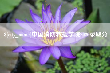 揭阳中国消防救援学院2020录取分
